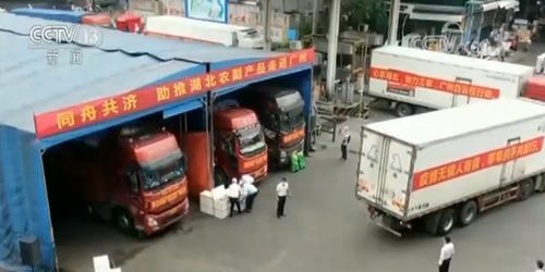 多措并舉拓銷路，湖北農(nóng)副產(chǎn)品產(chǎn)銷兩旺譜新篇