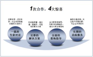 雙百行動(dòng)與國(guó)企轉(zhuǎn)型 信息咨詢(xún)服務(wù)產(chǎn)品手冊(cè)深度解讀